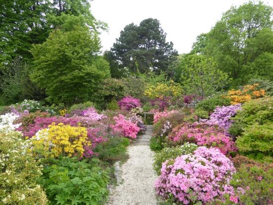 Blick in den Botanischen Garten mit farblich unterschiedlichen Büschen rechts und links vom Weg
