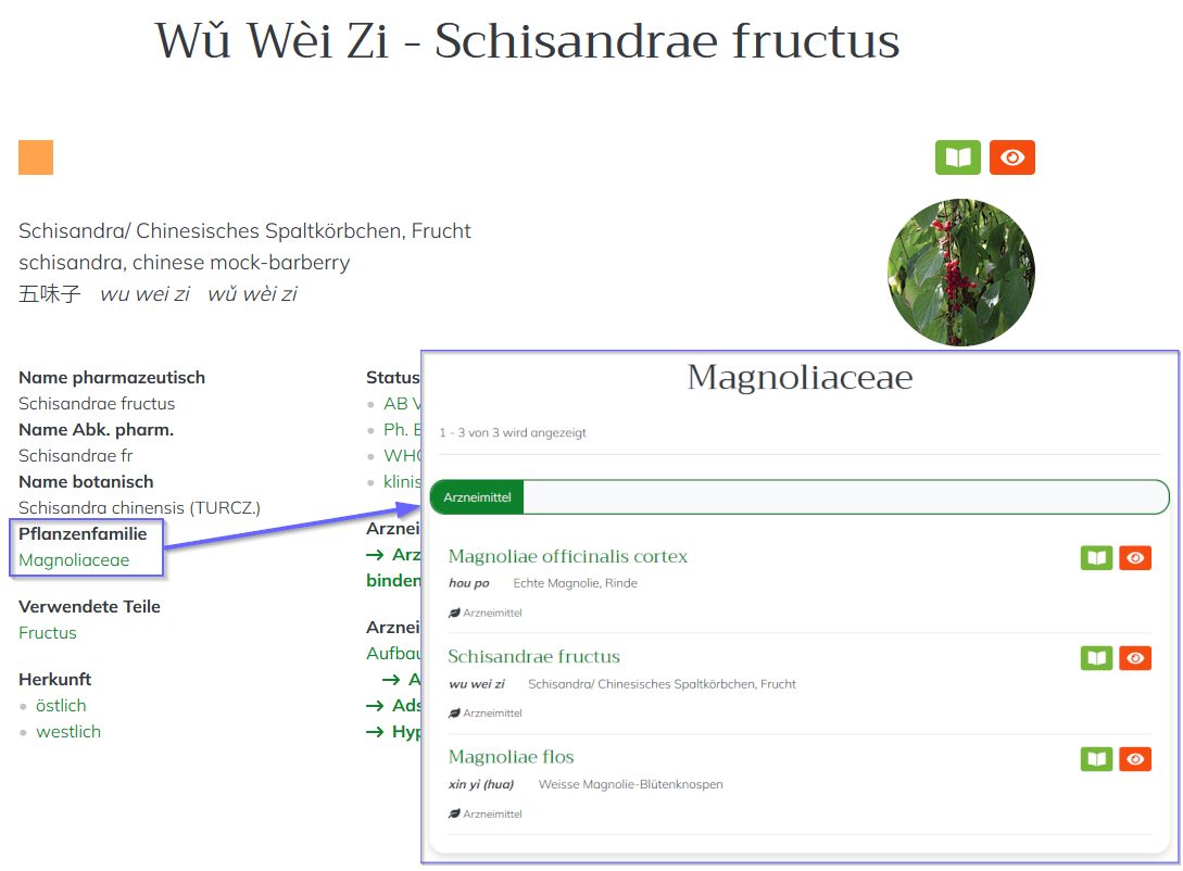 TCbase Hilfe Taxonomie