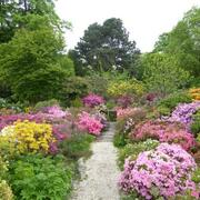 Blick in den Botanischen Garten mit farblich unterschiedlichen Büschen rechts und links vom Weg